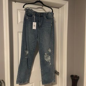 Sam Edelman Stiletto Tomboy Straight jeans